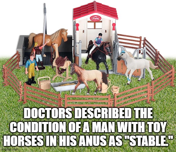 stable condition | DOCTORS DESCRIBED THE CONDITION OF A MAN WITH TOY HORSES IN HIS ANUS AS "STABLE." | image tagged in stable condition | made w/ Imgflip meme maker