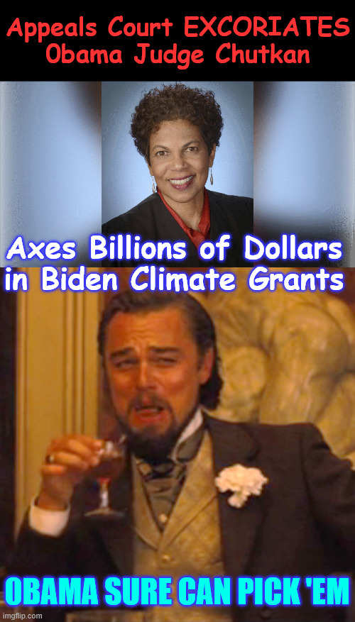 0bama sure can pick 'em | Appeals Court EXCORIATES 0bama Judge Chutkan; Axes Billions of Dollars in Biden Climate Grants; 0BAMA SURE CAN PICK 'EM | image tagged in memes,laughing leo,another lefty judge gets smacked by a higher court | made w/ Imgflip meme maker