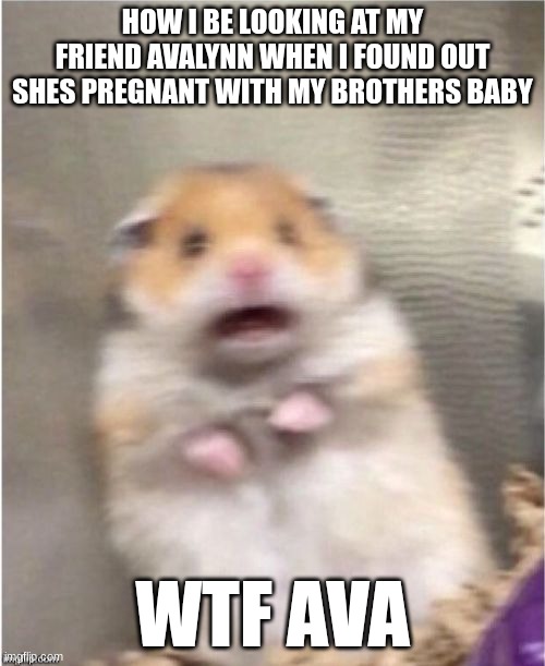 Scared Hamster | HOW I BE LOOKING AT MY FRIEND AVALYNN WHEN I FOUND OUT SHES PREGNANT WITH MY BROTHERS BABY; WTF AVA | image tagged in scared hamster | made w/ Imgflip meme maker