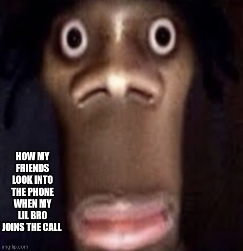 Quandale dingle | HOW MY FRIENDS LOOK INTO THE PHONE WHEN MY LIL BRO JOINS THE CALL | image tagged in quandale dingle | made w/ Imgflip meme maker
