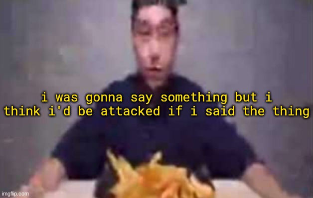​ | i was gonna say something but i think i'd be attacked if i said the thing | image tagged in are these fries | made w/ Imgflip meme maker