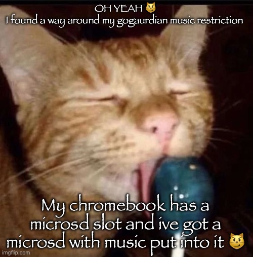(school gogaurdian to be specific) | OH YEAH 😼
I found a way around my gogaurdian music restriction; My chromebook has a microsd slot and ive got a microsd with music put into it 😼 | image tagged in silly goober 2 | made w/ Imgflip meme maker
