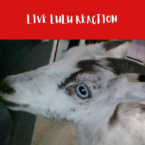 live lulu reaction Blank Meme Template