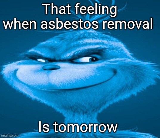 Blue Grinch | That feeling when asbestos removal Is tomorrow | image tagged in blue grinch | made w/ Imgflip meme maker