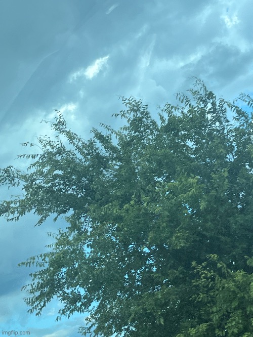 Tree with clouds | made w/ Imgflip meme maker
