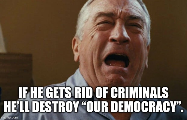 deniro crying | IF HE GETS RID OF CRIMINALS HE’LL DESTROY “OUR DEMOCRACY”. | image tagged in deniro crying | made w/ Imgflip meme maker