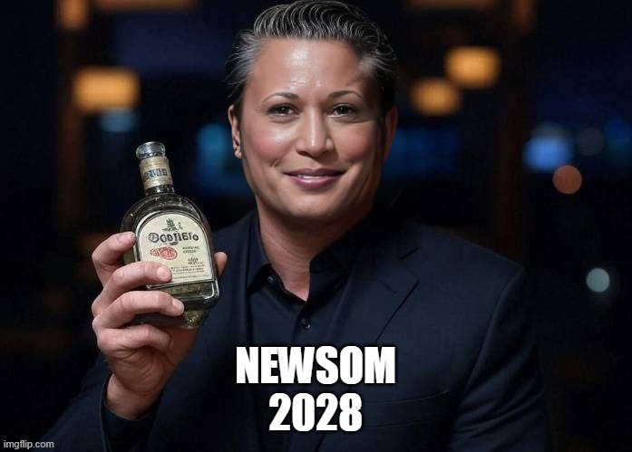 NEWSOM
2028 | made w/ Imgflip meme maker