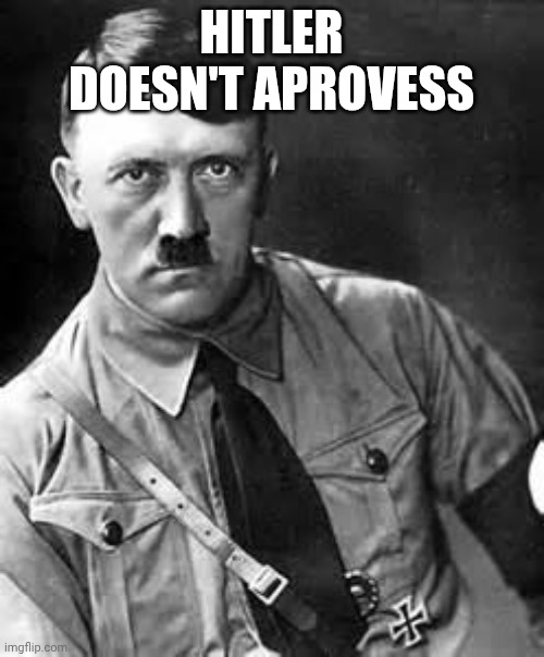HITLER DOESN'T APROVESS | image tagged in adolf hitler | made w/ Imgflip meme maker