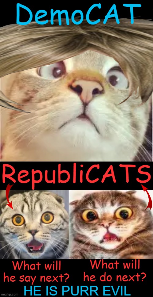 CAT Wisdom | DemoCAT; RepubliCATS; What will he do next? What will he say next? HE IS PURR EVIL | image tagged in democrats,republicans,you can pick only one choose wisely,karen,no brainer,political humor | made w/ Imgflip meme maker