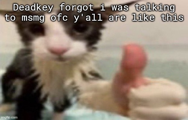 ​ | Deadkey forgot i was talking to msmg ofc y'all are like this | image tagged in soggy cat thumbs up | made w/ Imgflip meme maker