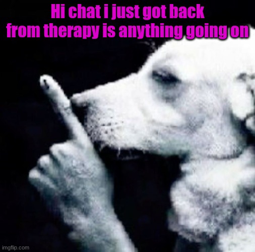 . | Hi chat i just got back from therapy is anything going on | image tagged in shh dog | made w/ Imgflip meme maker