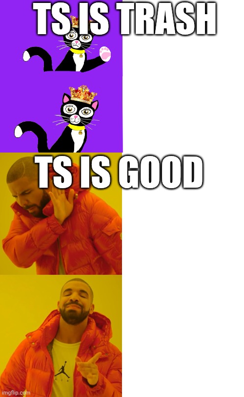 Original is better | TS IS TRASH; TS IS GOOD | image tagged in charlotte's web of whoozits hotline bling,memes,drake hotline bling,funny,oh wow are you actually reading these tags | made w/ Imgflip meme maker