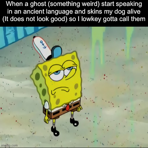 GHOSTBUSTERS!1!1!1!1 | When a ghost (something weird) start speaking in an ancient language and skins my dog alive (It does not look good) so I lowkey gotta call them | image tagged in nat and me,aint afraid of no ghost,memes,shitpost,spongebob,jojo's bizarre adventure | made w/ Imgflip meme maker