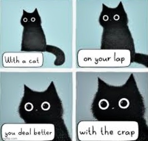 With The Crap | image tagged in cats,funny cat memes,crap,deal with it,rhymes,comics/cartoons | made w/ Imgflip meme maker