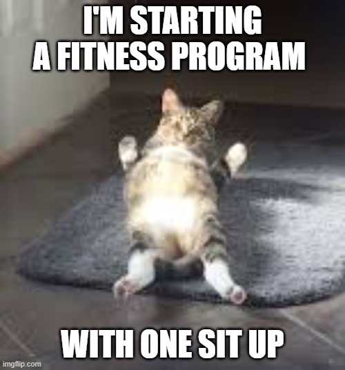 Cat is starting her exercise program with one sit up.   - funny - | I'M STARTING A FITNESS PROGRAM; WITH ONE SIT UP | image tagged in cats,funny,kittens,humor,exercise,play on words | made w/ Imgflip meme maker