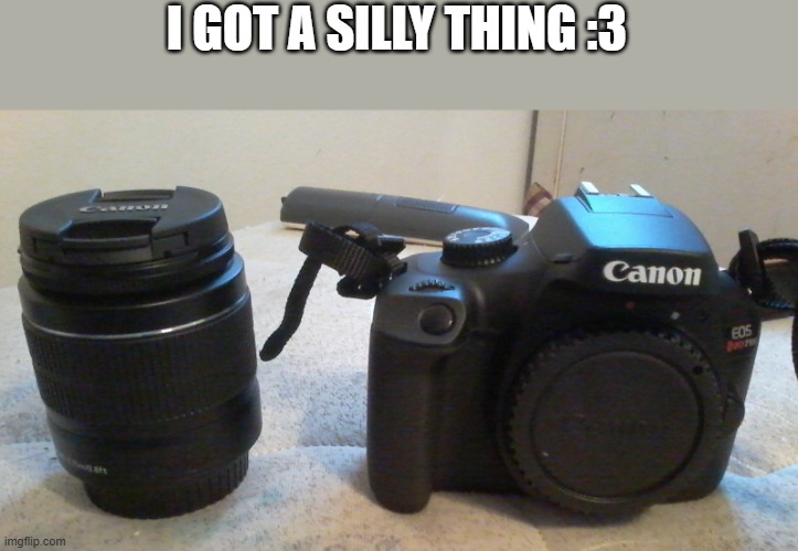 wowie | I GOT A SILLY THING :3 | made w/ Imgflip meme maker