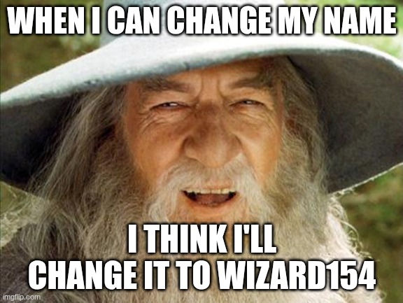 idk tho | WHEN I CAN CHANGE MY NAME; I THINK I'LL CHANGE IT TO WIZARD154 | image tagged in a wizard is never late,wink wink | made w/ Imgflip meme maker
