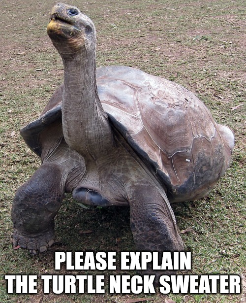 PLEASE EXPLAIN THE TURTLE NECK SWEATER | made w/ Imgflip meme maker