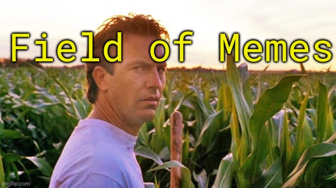 Field Day | Field of Memes | image tagged in field of dreams,field of memes,kevin costner,memes,baseball,brian einersen | made w/ Imgflip meme maker