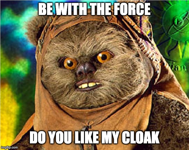 bok choy | BE WITH THE FORCE; DO YOU LIKE MY CLOAK | image tagged in star wars ewok | made w/ Imgflip meme maker