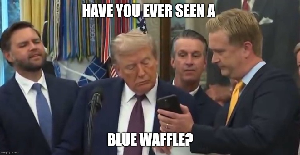 trump waffle | HAVE YOU EVER SEEN A; BLUE WAFFLE? | image tagged in trump,donald trump,president trump | made w/ Imgflip meme maker