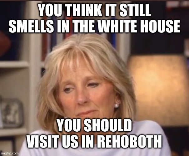 Jill Biden meme | YOU THINK IT STILL SMELLS IN THE WHITE HOUSE YOU SHOULD VISIT US IN REHOBOTH | image tagged in jill biden meme | made w/ Imgflip meme maker