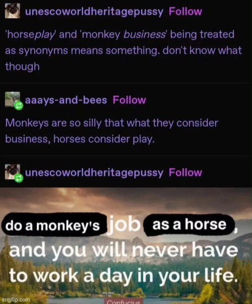 horseplay | made w/ Imgflip meme maker