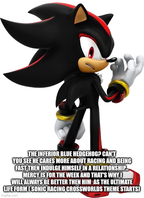 Shadow the hedgehog | THE INFERIOR BLUE HEDGEHOG? CAN'T YOU SEE HE CARES MORE ABOUT RACING AND BEING FAST THEN INDULGE HIMSELF IN A RELATIONSHIP...  MERCY IS FOR  | image tagged in shadow the hedgehog | made w/ Imgflip meme maker