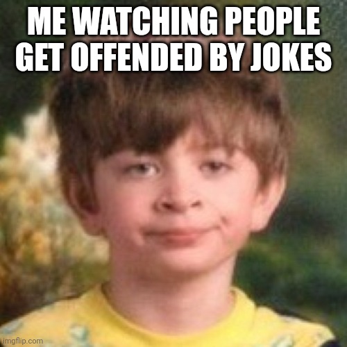"tHaT's sO ofFeNsiVe" | ME WATCHING PEOPLE GET OFFENDED BY JOKES | image tagged in annoyed face,why | made w/ Imgflip meme maker
