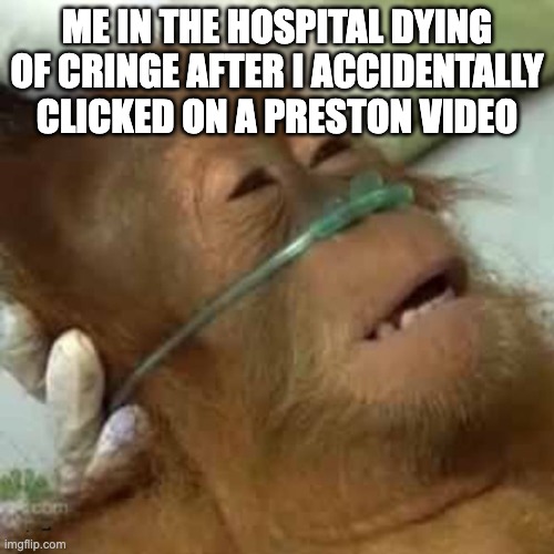 Dying orangutan | ME IN THE HOSPITAL DYING OF CRINGE AFTER I ACCIDENTALLY CLICKED ON A PRESTON VIDEO | made w/ Imgflip meme maker