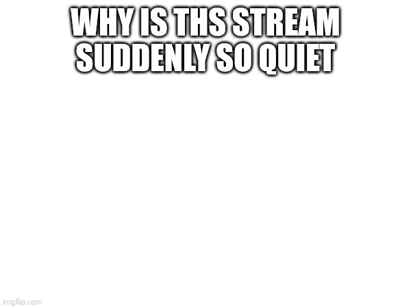 WHY IS THS STREAM SUDDENLY SO QUIET | made w/ Imgflip meme maker