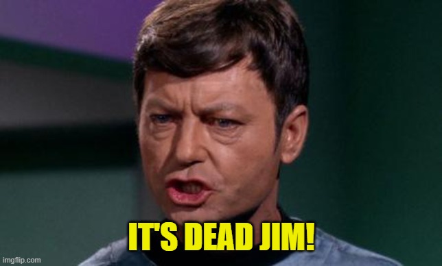 Dammit Jim | IT'S DEAD JIM! | image tagged in dammit jim | made w/ Imgflip meme maker