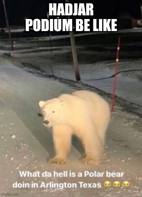 what the hell a polar bear doing in arlington texas | HADJAR PODIUM BE LIKE | image tagged in what the hell a polar bear doing in arlington texas,formula 1,racing,bulls,french,dutch | made w/ Imgflip meme maker