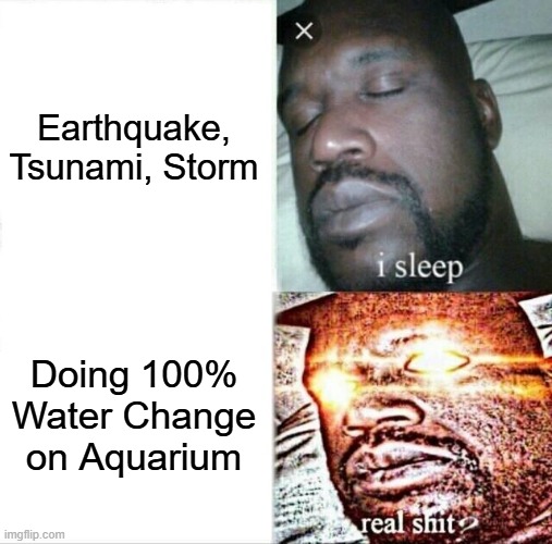 100% Water Change | Earthquake, Tsunami, Storm; Doing 100% Water Change on Aquarium | image tagged in memes,sleeping shaq | made w/ Imgflip meme maker