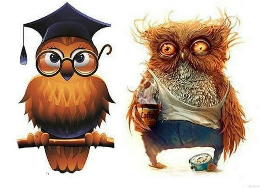 Owl, before and after Blank Meme Template