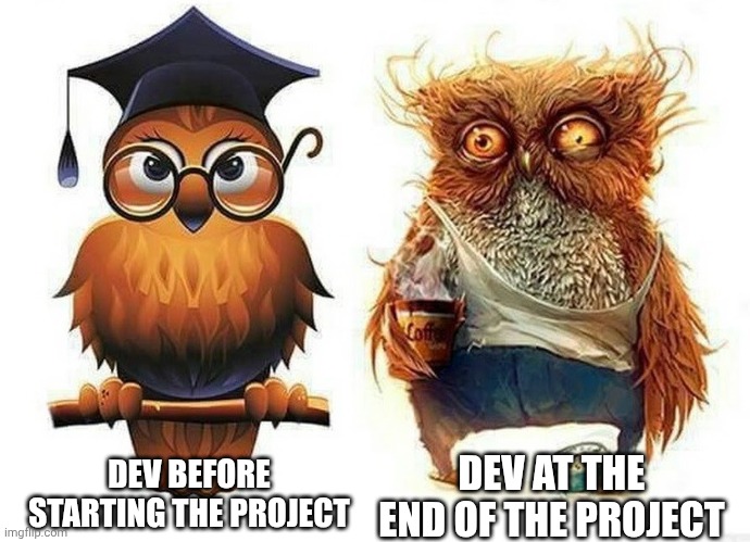Don't you dare disagree | DEV AT THE END OF THE PROJECT; DEV BEFORE STARTING THE PROJECT | image tagged in owl before and after,programming,fun,memes | made w/ Imgflip meme maker