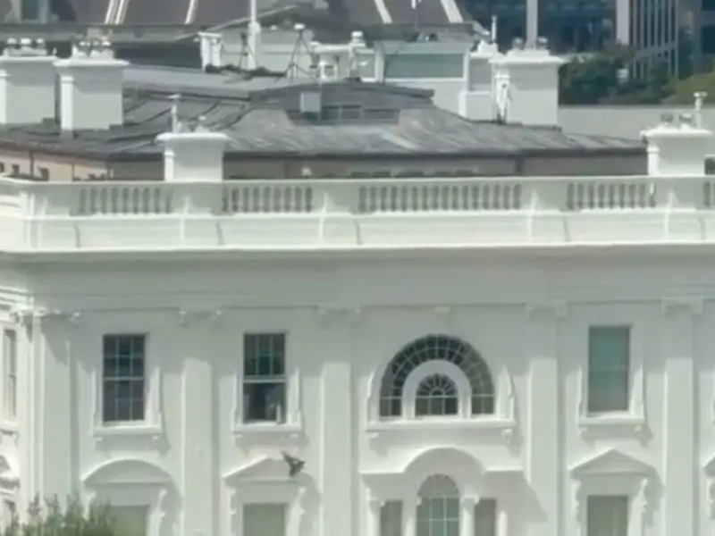 White House Bin Bags Blank Meme Template