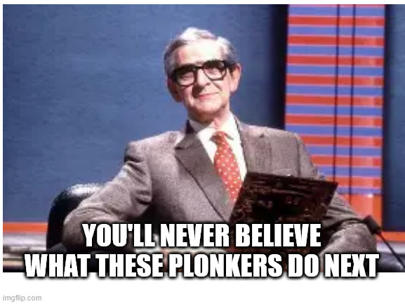 Blank White Template | YOU'LL NEVER BELIEVE WHAT THESE PLONKERS DO NEXT | image tagged in blank white template | made w/ Imgflip meme maker