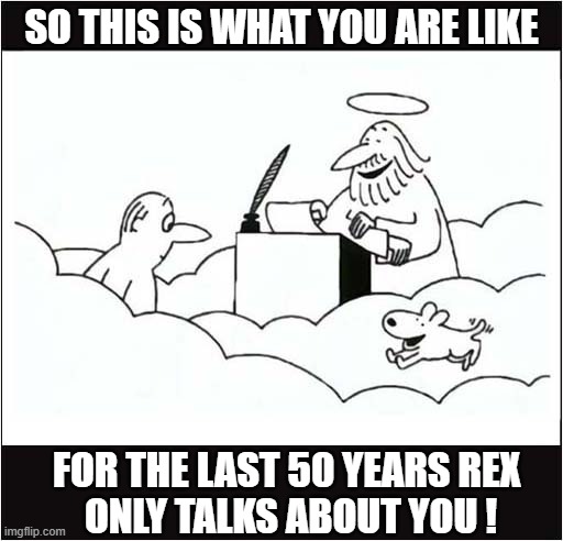 Heaven ! | SO THIS IS WHAT YOU ARE LIKE; FOR THE LAST 50 YEARS REX
 ONLY TALKS ABOUT YOU ! | image tagged in dogs,heaven | made w/ Imgflip meme maker