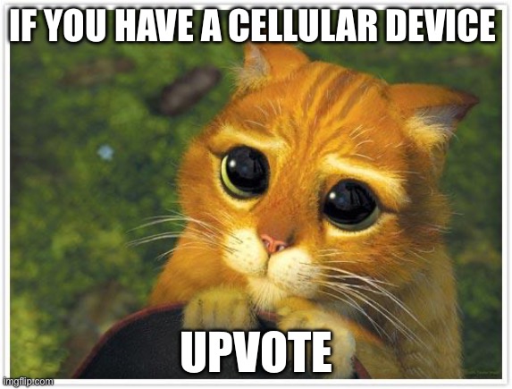 Shrek Cat | IF YOU HAVE A CELLULAR DEVICE; UPVOTE | image tagged in memes,shrek cat | made w/ Imgflip meme maker