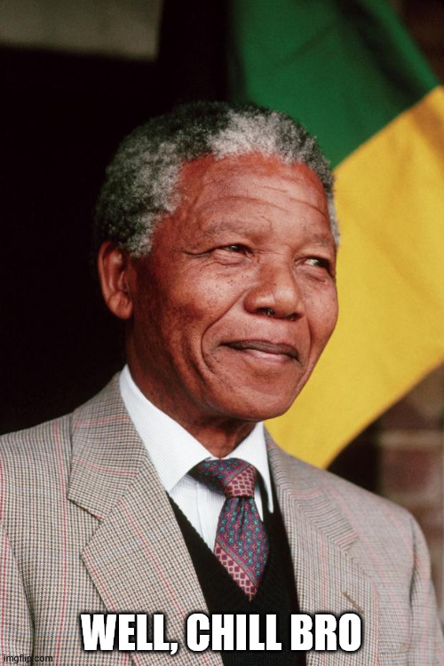 Nelson Mandela | WELL, CHILL BRO | image tagged in nelson mandela | made w/ Imgflip meme maker