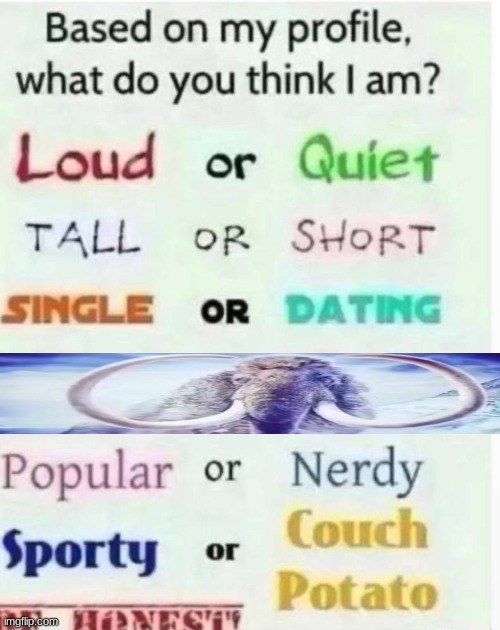 based on my profile what do you think I am? | image tagged in based on my profile what do you think i am | made w/ Imgflip meme maker