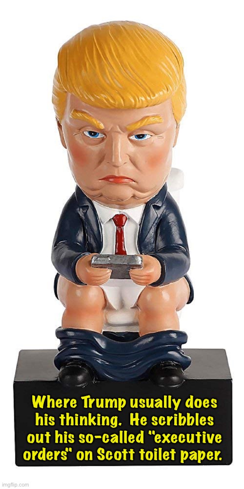 Donald Trump trying to get back on Twitter on the toilet | Where Trump usually does his thinking.  He scribbles out his so-called "executive orders" on Scott toilet paper. | image tagged in donald trump trying to get back on twitter on the toilet | made w/ Imgflip meme maker