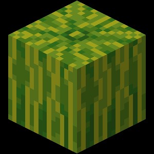 Minecraft Melon Blank Meme Template