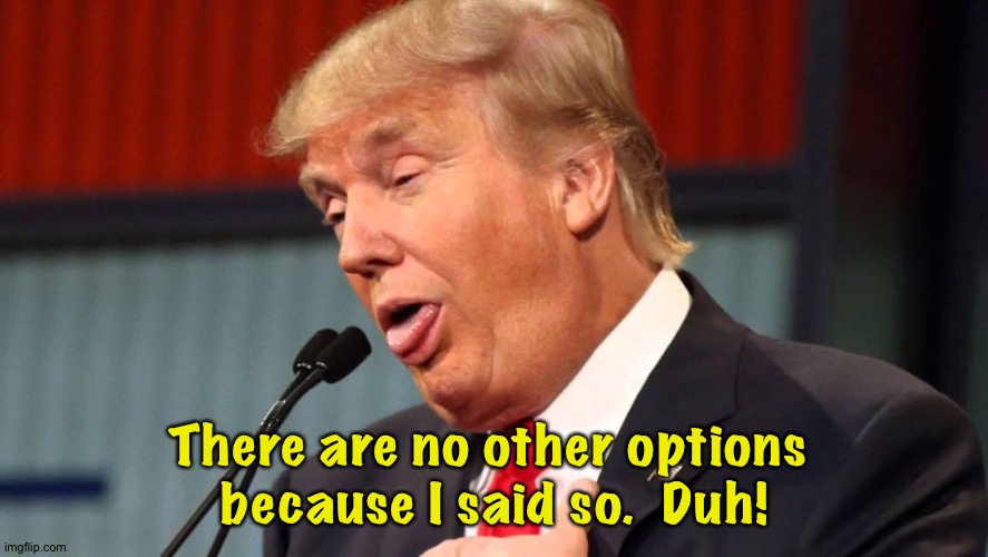 Stupid trump | There are no other options 
because I said so.  Duh! | image tagged in stupid trump | made w/ Imgflip meme maker