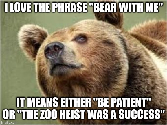 Bear with Me | I LOVE THE PHRASE "BEAR WITH ME"; IT MEANS EITHER "BE PATIENT" OR "THE ZOO HEIST WAS A SUCCESS" | image tagged in memes,smug bear,bad pun | made w/ Imgflip meme maker