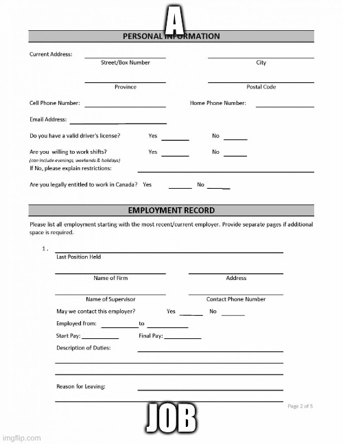 AAAAA- | A; JOB | image tagged in job application blank,scared,job | made w/ Imgflip meme maker