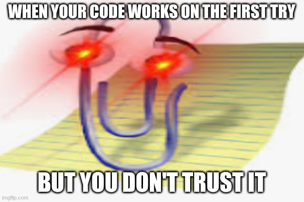 I can't comment for 2 days so imma post memes instead | WHEN YOUR CODE WORKS ON THE FIRST TRY; BUT YOU DON'T TRUST IT | image tagged in bruh moment | made w/ Imgflip meme maker