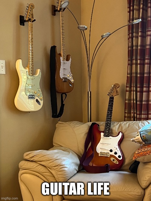 Good life | GUITAR LIFE | image tagged in guitar,stratocaster,telecaster,squier standard | made w/ Imgflip meme maker