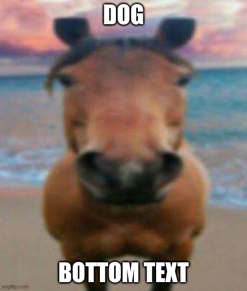 Evil Horse | DOG; BOTTOM TEXT | image tagged in evil horse | made w/ Imgflip meme maker